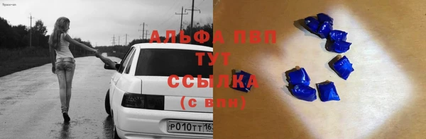 крисы Алексин