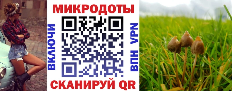 Псилоцибиновые грибы Cubensis  Салават 